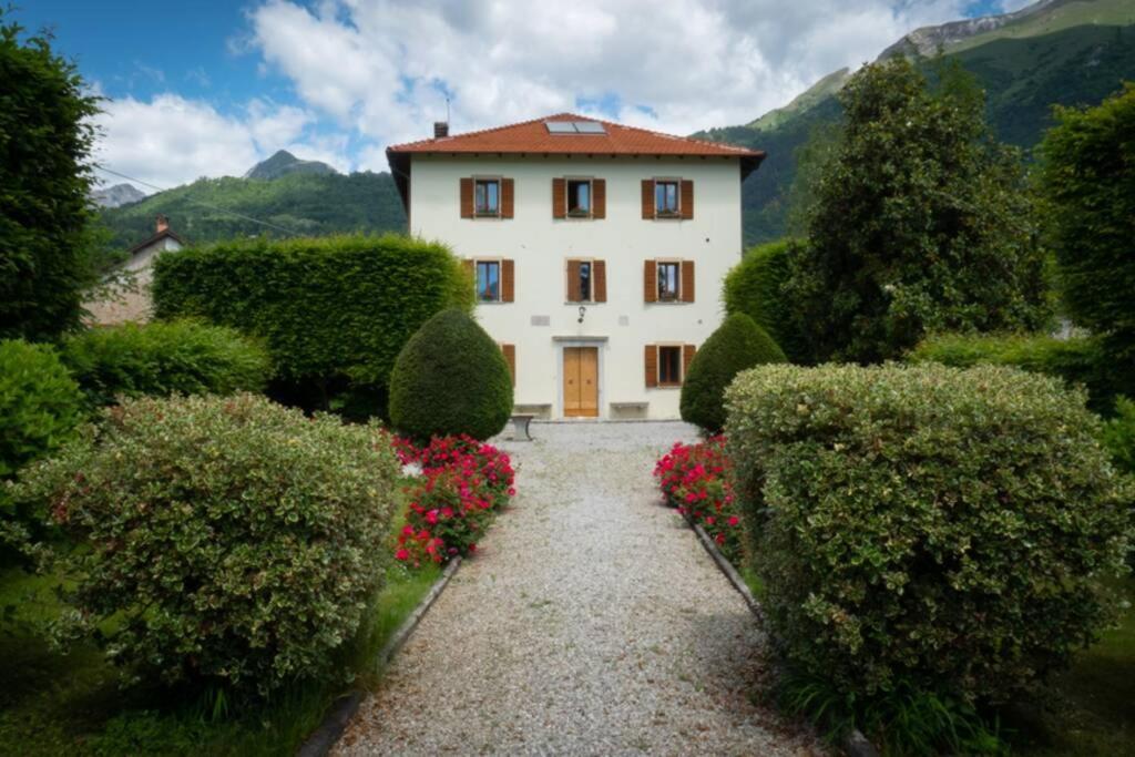 Villa Perale: La Tua Casa Alle Pendici Delle Dolomiti 벨루노 외부 사진