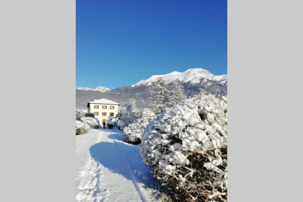 Villa Perale: La Tua Casa Alle Pendici Delle Dolomiti 벨루노 외부 사진