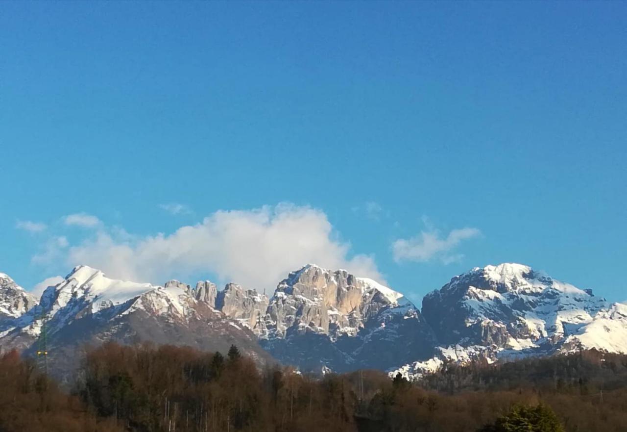 Villa Perale: La Tua Casa Alle Pendici Delle Dolomiti 벨루노 외부 사진